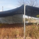 강화군산림조합 이미지