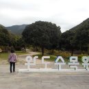 완도 수목원 입장료 볼거리 주차 방문 후기