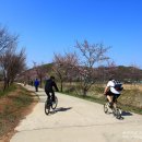 자전거탄풍경 이미지