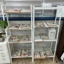 네일죠이아