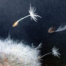 색연필일러스트 이미지