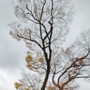 세계문화유산인문학 이미지