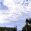 세븐일레븐 부산민락이편한점 이미지