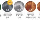 청아살롱 이미지