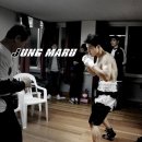 마루복싱 이미지