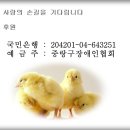 사랑의 손길을 기다립니다 이미지