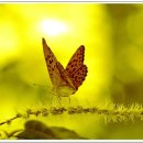 컴퓨터 기초 & 인터넷 이미지