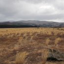 안천농장 이미지