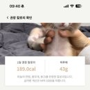 마느리
