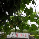 만우농장 이미지