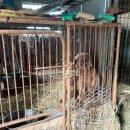 호황농장 이미지