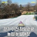즐거운나들이 관광농원 | 이천 청암관광농원 눈썰매장 후기겨울방학 아이와 가볼만한곳