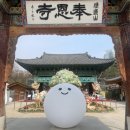 손으로 만드는 세상(마크라메 양말목) | 2025 불교박람회 국제선명상대회 선불당 집중을 위한 선명상