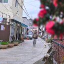 한류드라마 촬영 포 | 포항 여행 강아지동반 가볼만한곳 구룡포 일본인가옥거리 까멜리아 포토존 식당