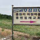 홍거농장 네이버블로그