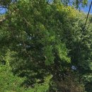 다람이마을 이미지