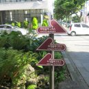 하영올레 1코스 이미지