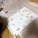 에스지큐 갤러리 QKIT 후기