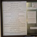 고양이사랑채 이미지