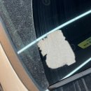 때미리디테일링 이미지