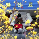 올곧은병원 네이버블로그