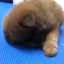 DC할인마트 이미지