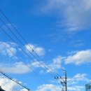 푸나왈라 이미지