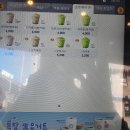 아마스빈 버블티 이미지