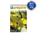 금메달 농장 이미지