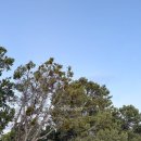 암사역사공원 비지터센터 | 그랜드캐년 캠핑 | RV 숙소 예약부터 셔틀버스, 등산 꿀팁까지 총정리