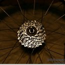 프로정비 이미지