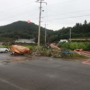 나주영상테마파크 이미지