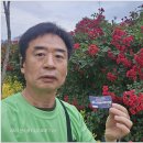 포항 도심숲 힐링걷기대회(2025.6.13) 이미지