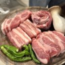 서씨고기 이미지