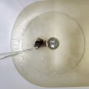 한방쑥사우나 이미지