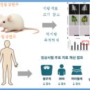 제이앤제이 헬스케어