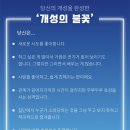 숲소울