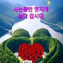 행복한의료기 이미지