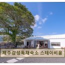 제주감성독채숙소스테이비움