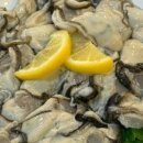 짱어한마리 이미지