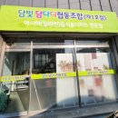 담빛담다디 협동조합