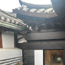 스테이어플로트