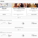 [스위스여행] 2026년 12월 크리스마스 스위스 여행 준비과정, 6박7일 비용, 항공권예매, 스위스세이버...