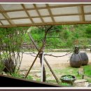 내고향집 이미지