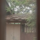 심미안