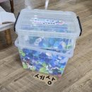 선재어린이집 이미지