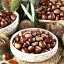 정안이네 이미지