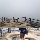 씨스터맘
