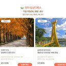 영농조합법인 행복한 타조농장 | 대한민국 구석구석 여행가는 가을~기차로 떠난 로컬여행에 당첨된 담양여행 후기♡♡