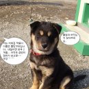 깜댕이 이미지